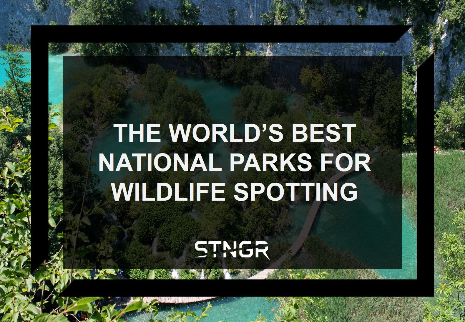 The World’s Best National Parks for Wildlife Spotting