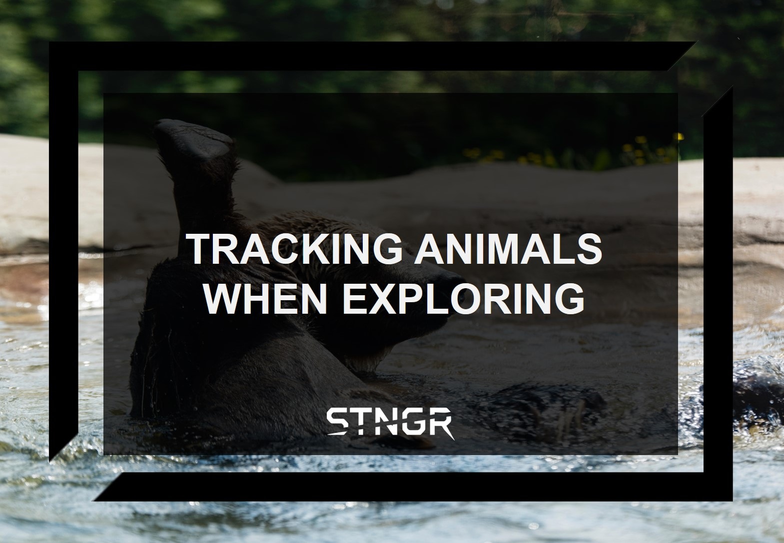 Tracking Animals When Exploring