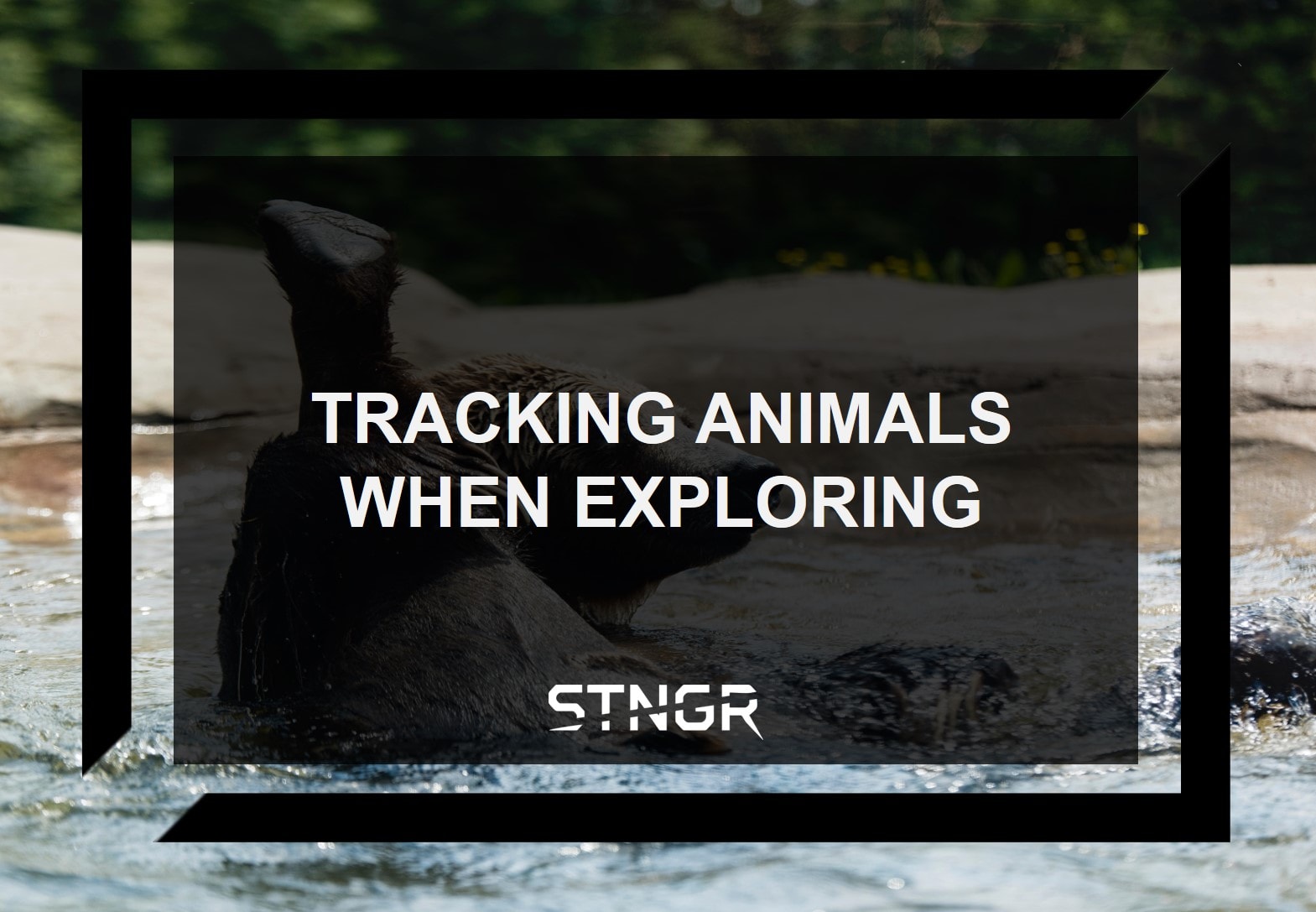 Tracking Animals When Exploring