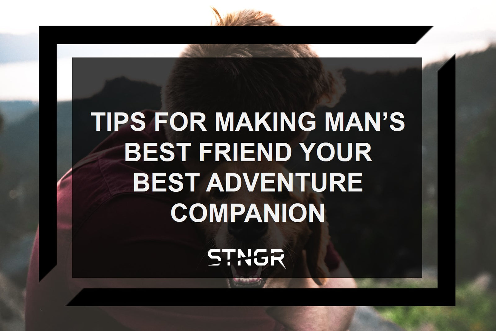 Tips for Making Man’s Best Friend Your Best Adventure Companion